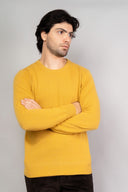 Maglia uomo girocollo in lana e cashmere